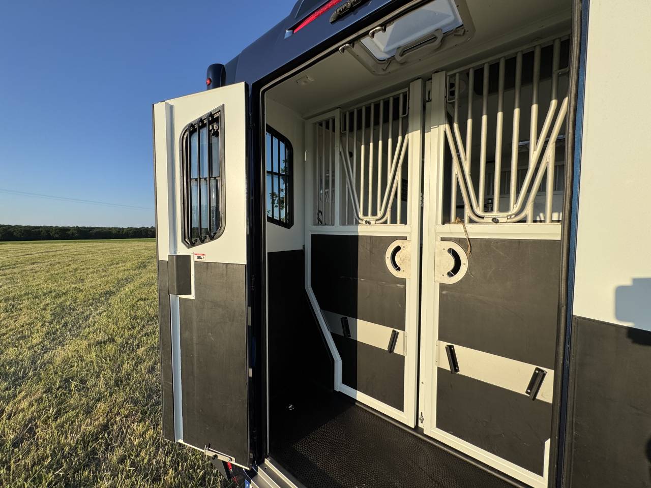 Horsebox HGV Theault Proteo Switch 5 places 2020 Used