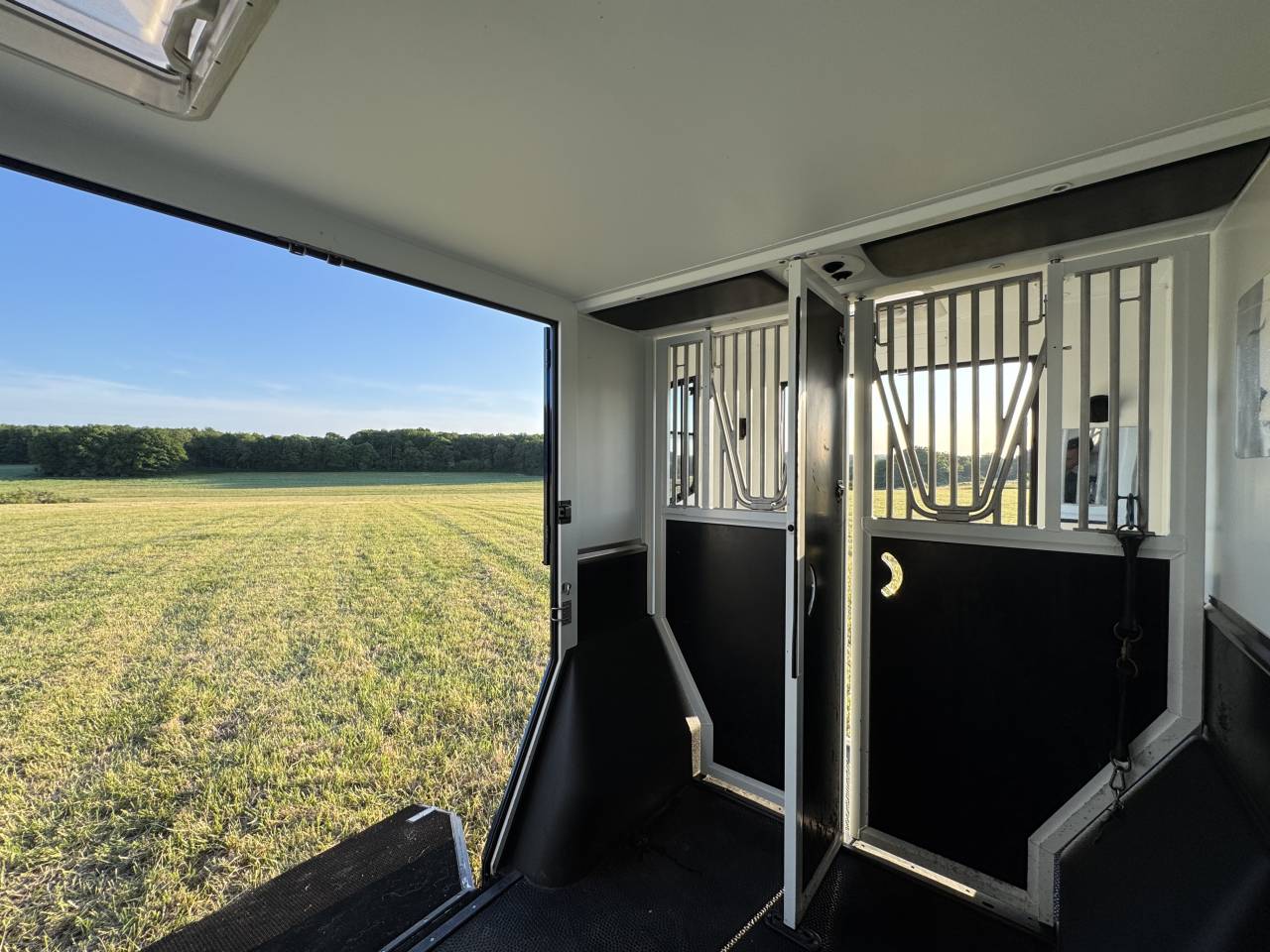 Horsebox HGV Theault Proteo Switch 5 places 2020 Used