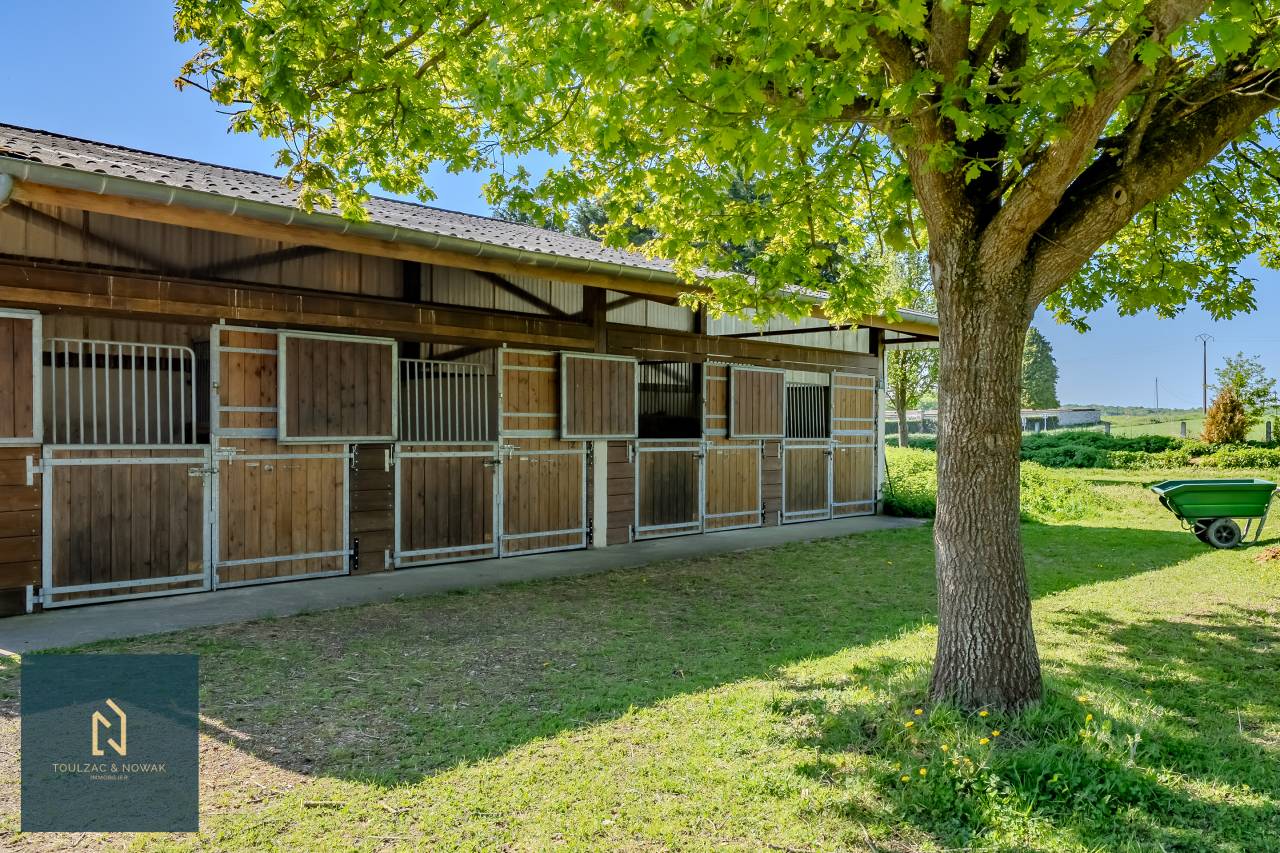 Equestrian property  Yvelines