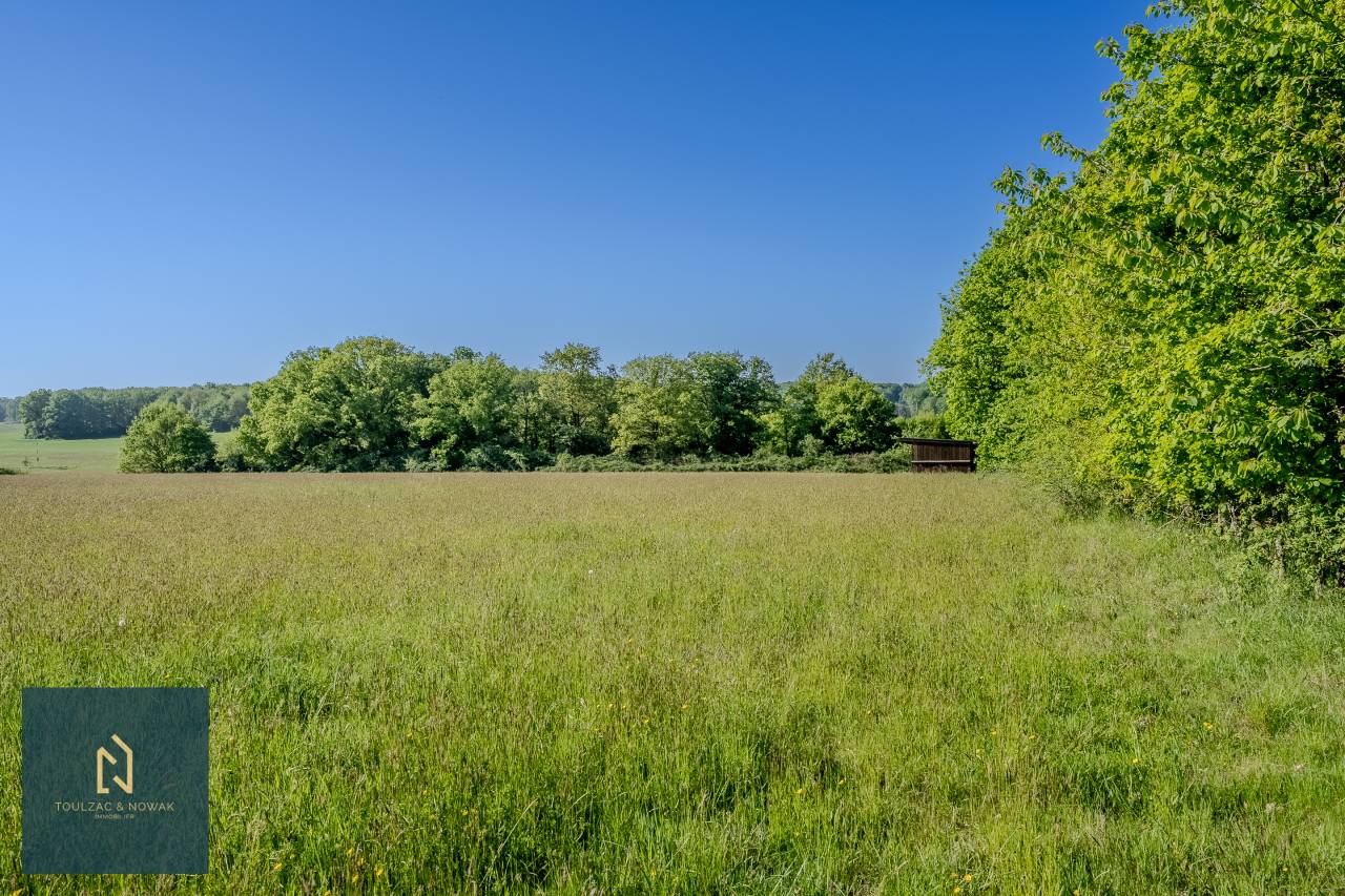 Equestrian property  Yvelines