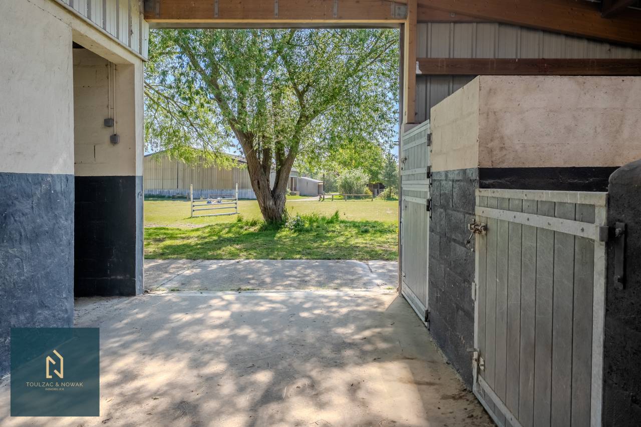 Equestrian property  Yvelines