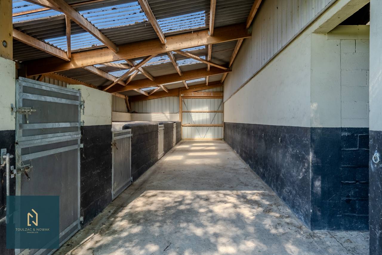 Equestrian property  Yvelines