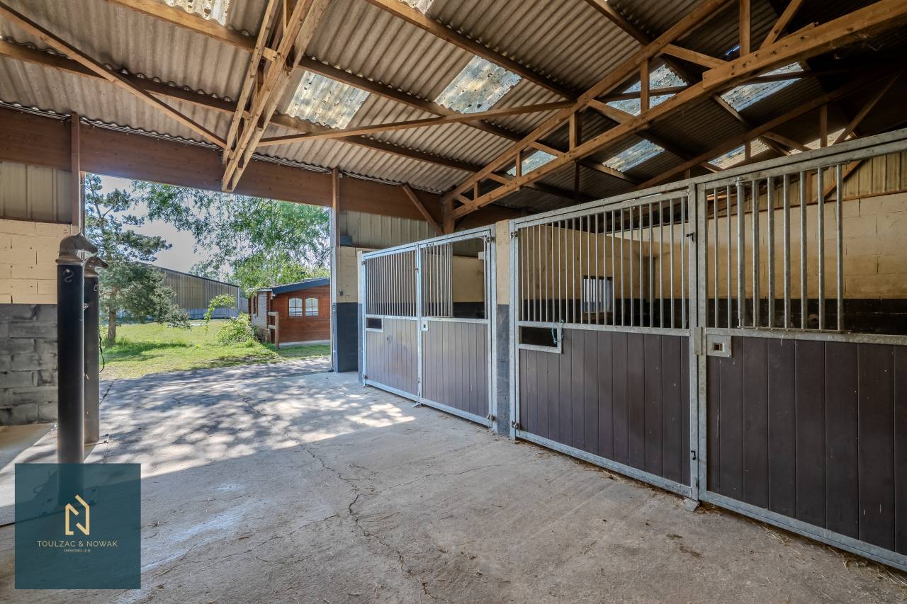 Equestrian property  Yvelines