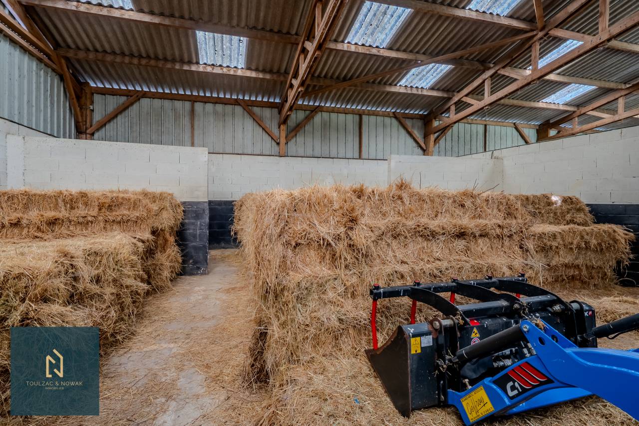 Equestrian property  Yvelines