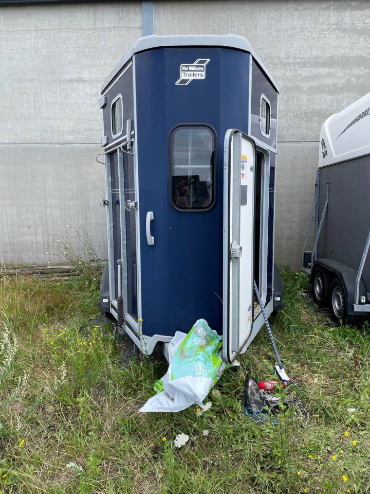 Horse trailer Ifor Williams HB 506 2 Stalls 2017 Used