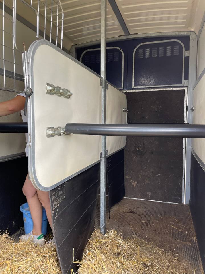 Horse trailer Ifor Williams HB 506 2 Stalls 2017 Used