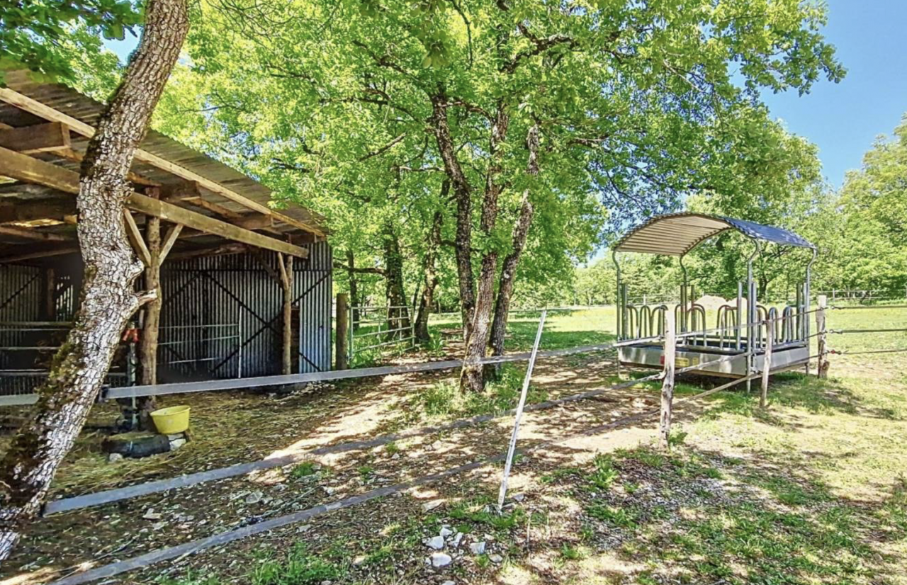 Equestrian property  Lot