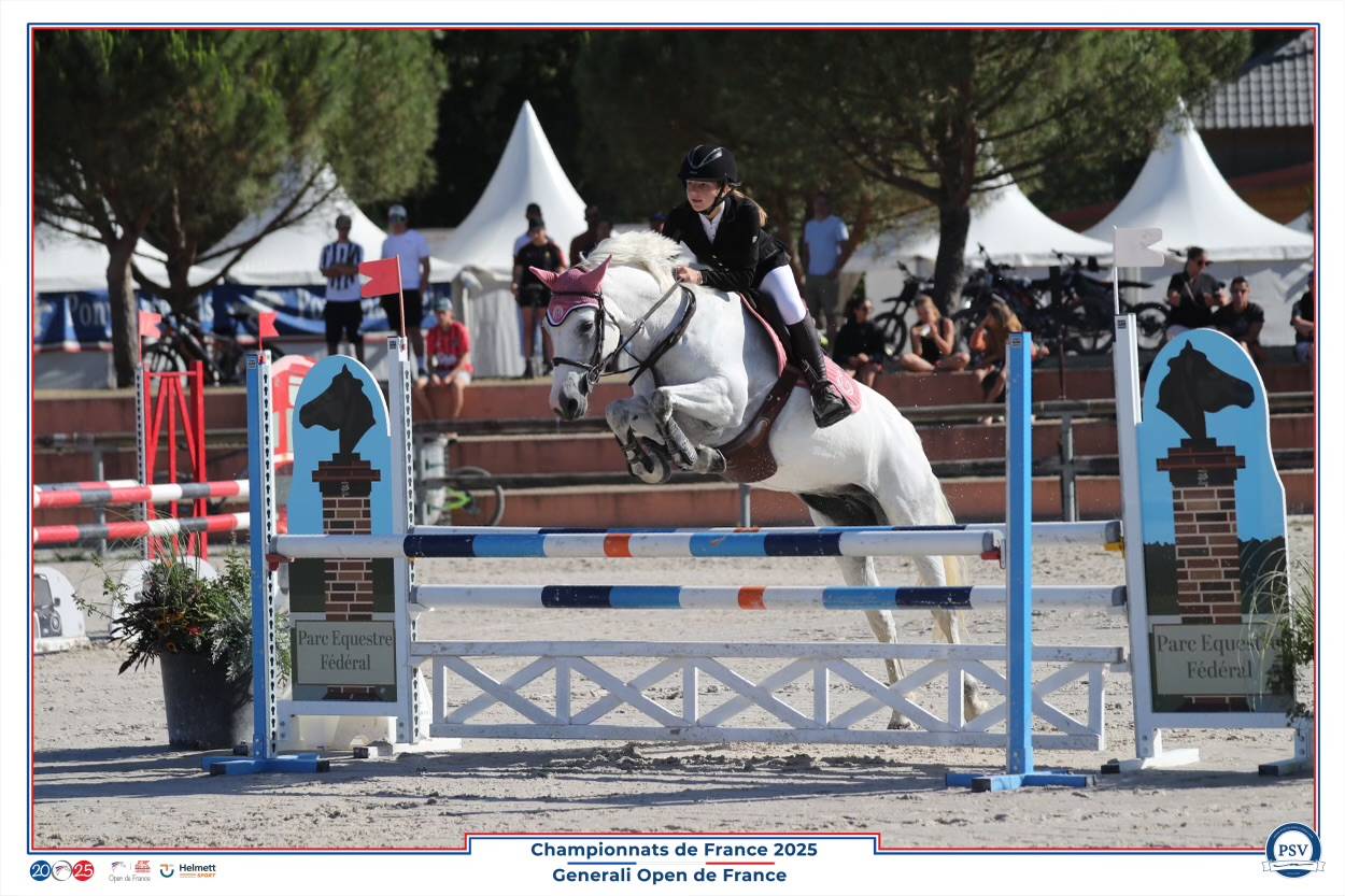 Mare Connemara For sale 2017 Grey