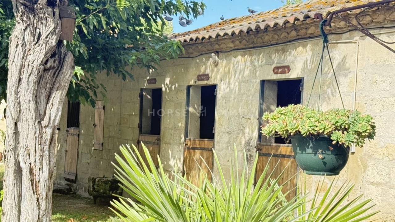 Equestrian property  Hérault