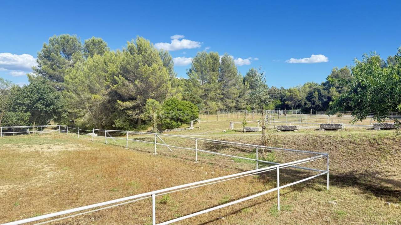 Equestrian property  Hérault