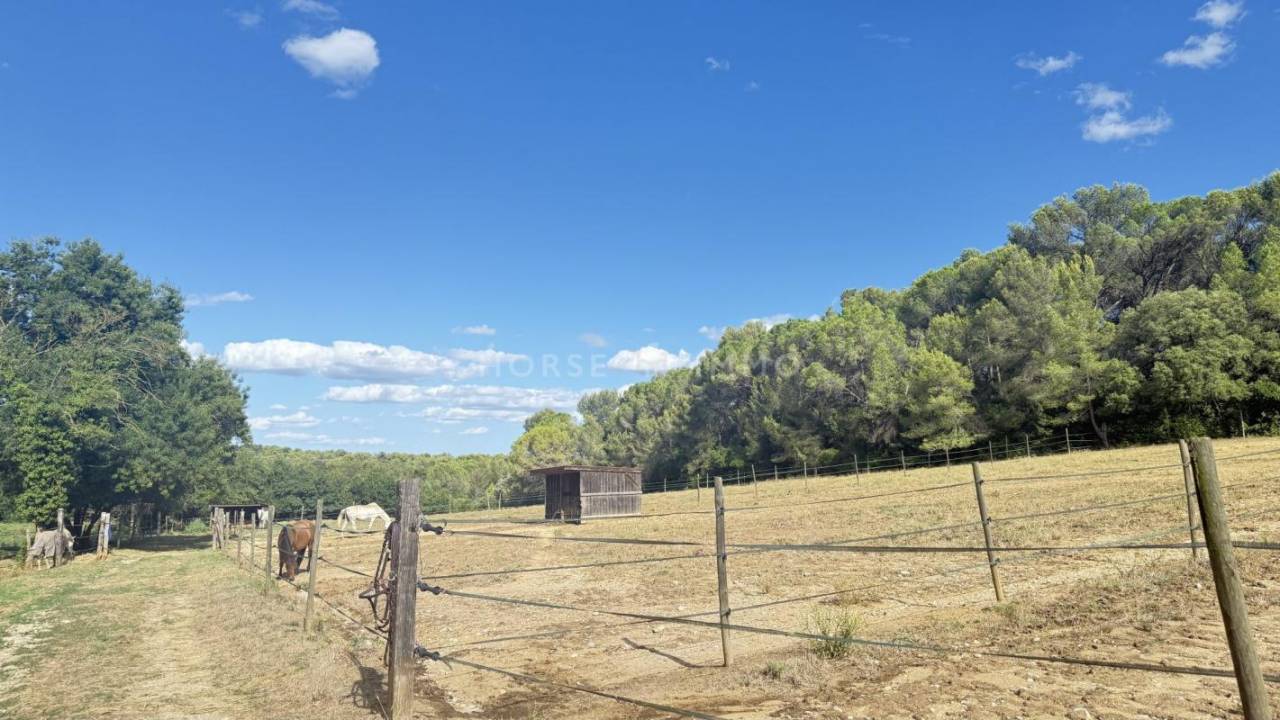 Equestrian property  Hérault