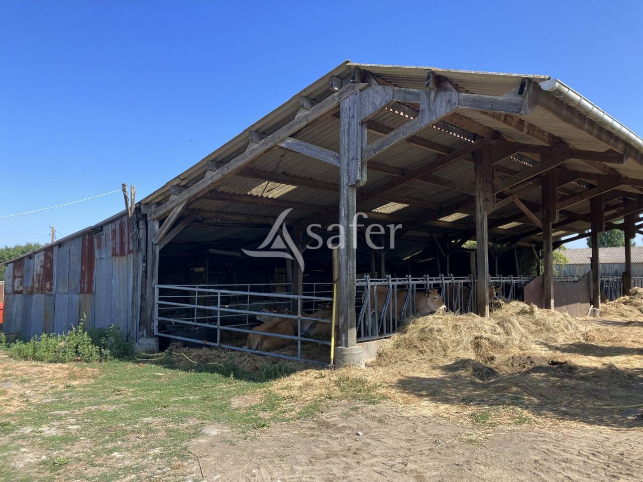 Other agricultural property  Maine-et-Loire