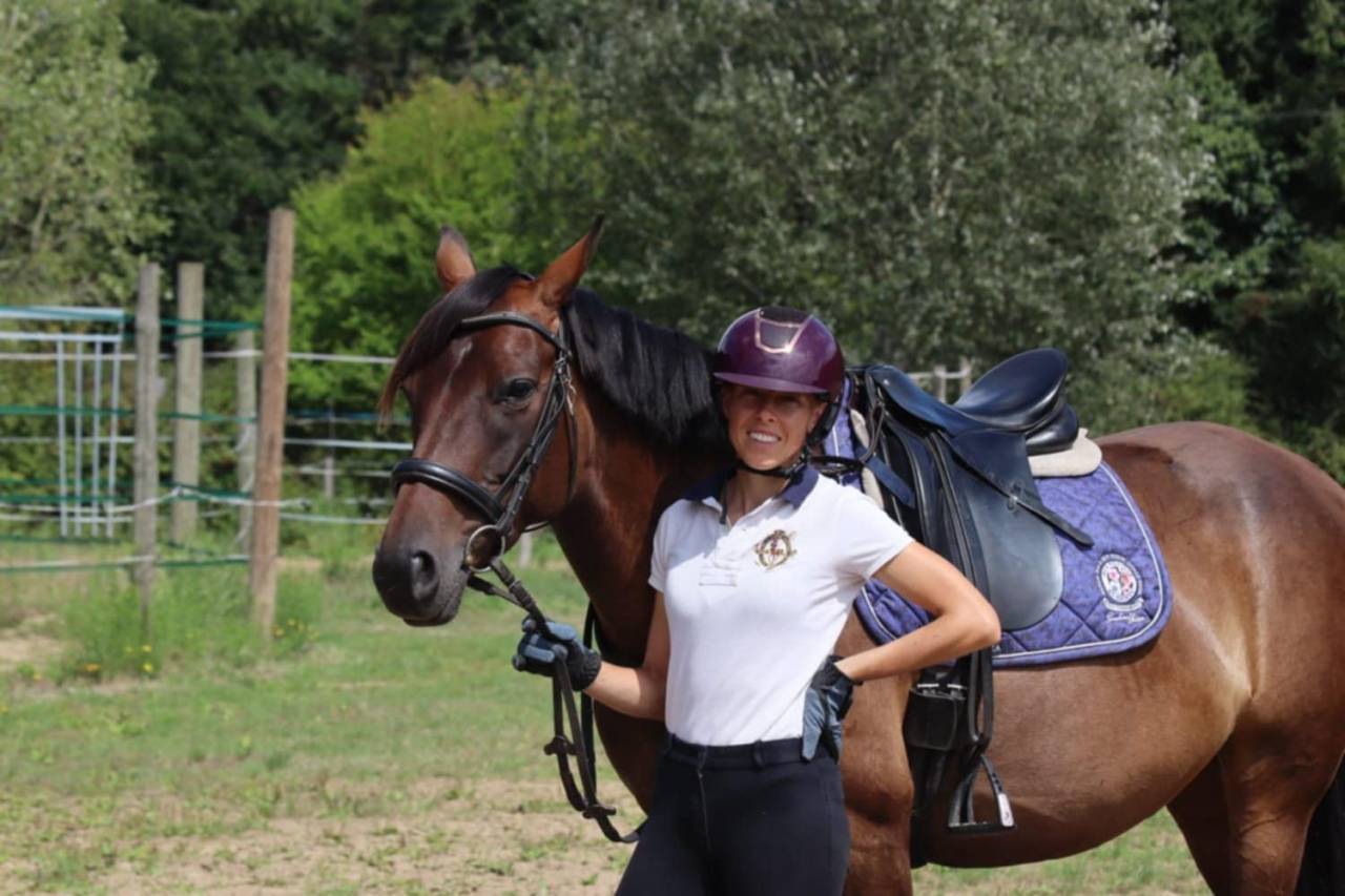 Mare Selle Français For sale 2020 Bay