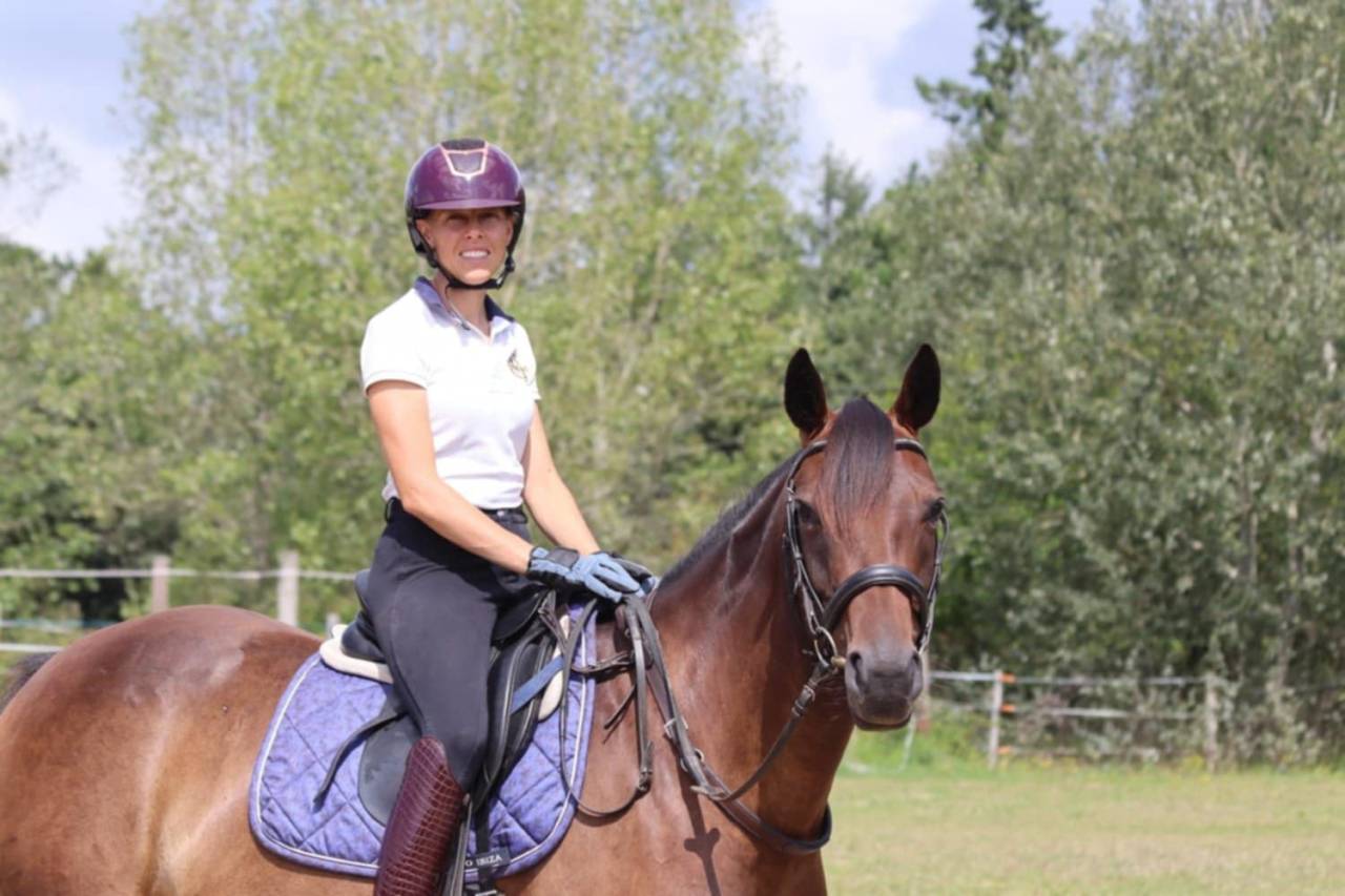 Mare Selle Français For sale 2020 Bay