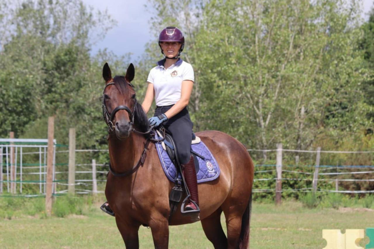 Mare Selle Français For sale 2020 Bay