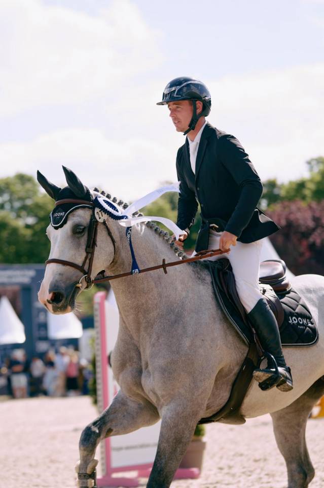 Mare Selle Français For sale 2018 Grey