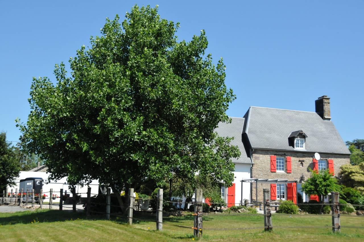 Luxurious equestrian property  Calvados