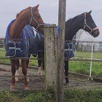 Luxurious equestrian property  Calvados