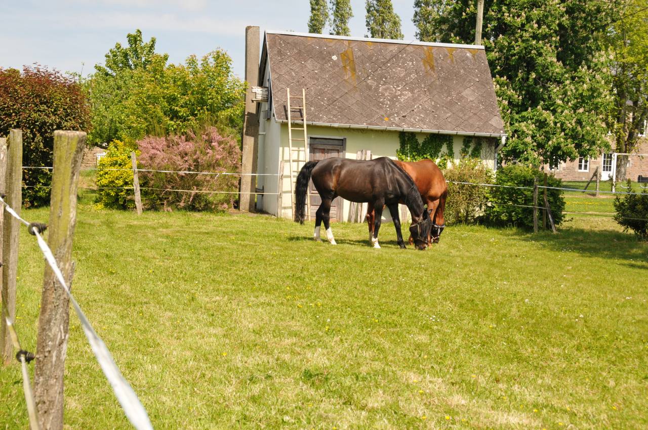 Luxurious equestrian property  Calvados