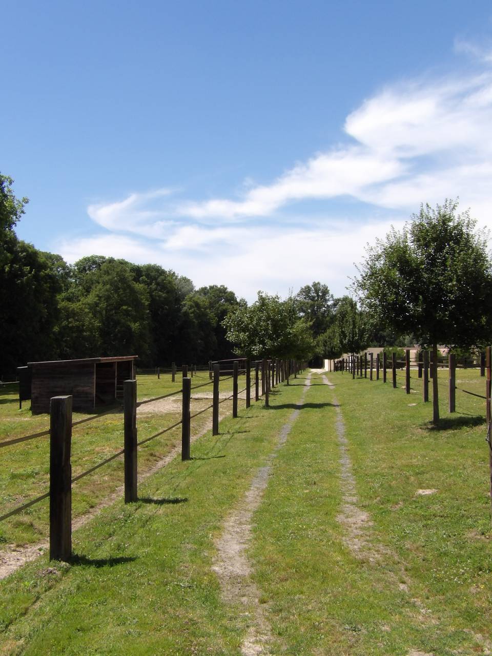 Luxurious equestrian property  Essonne