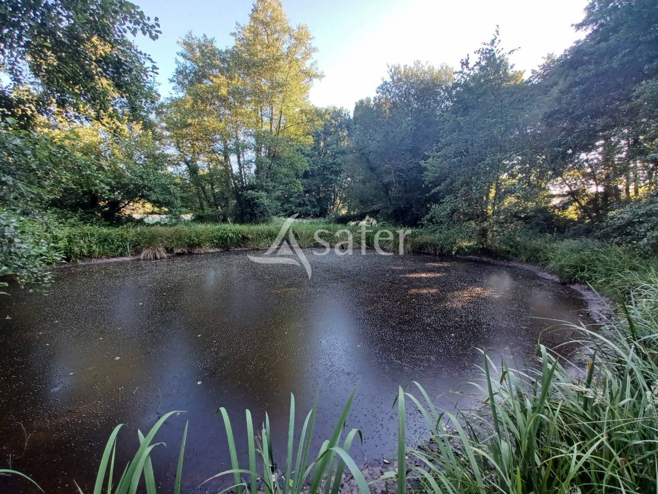 Equestrian property  Landes