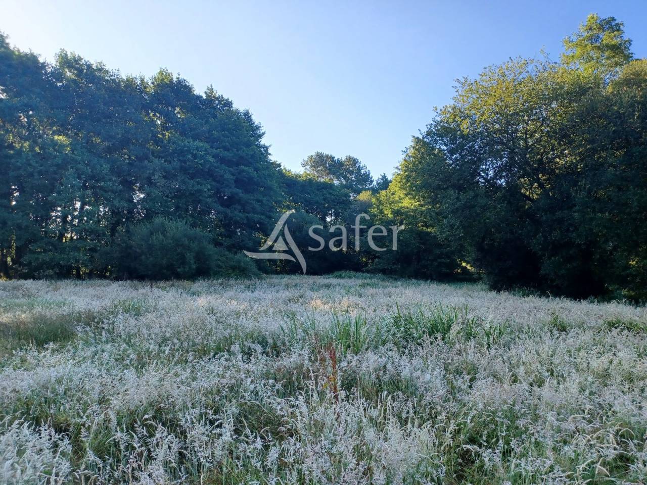 Equestrian property  Landes