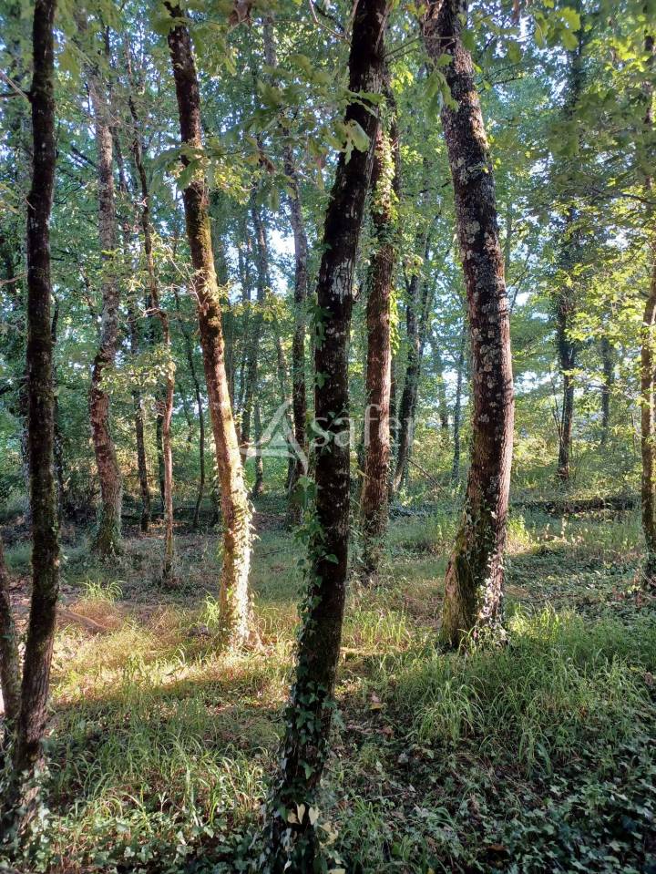 Equestrian property  Landes