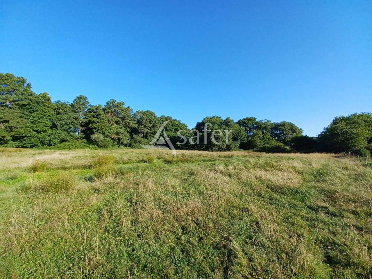 Equestrian property  Landes