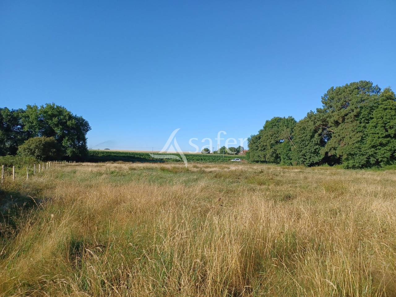 Equestrian property  Landes