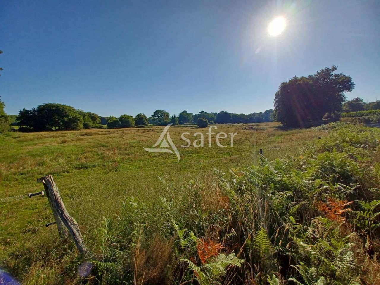 Equestrian property  Landes