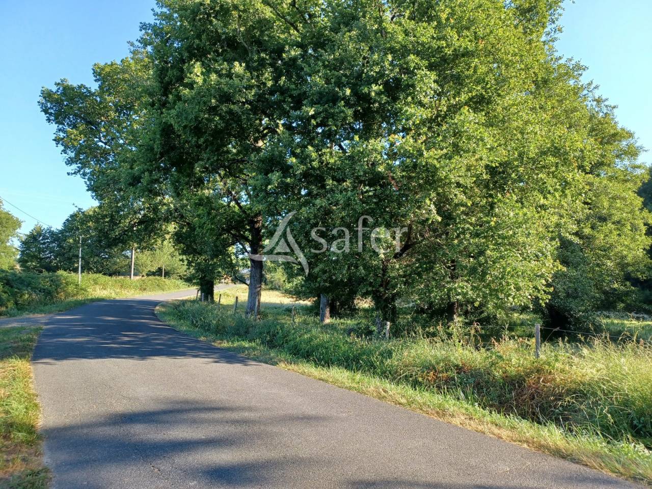 Equestrian property  Landes