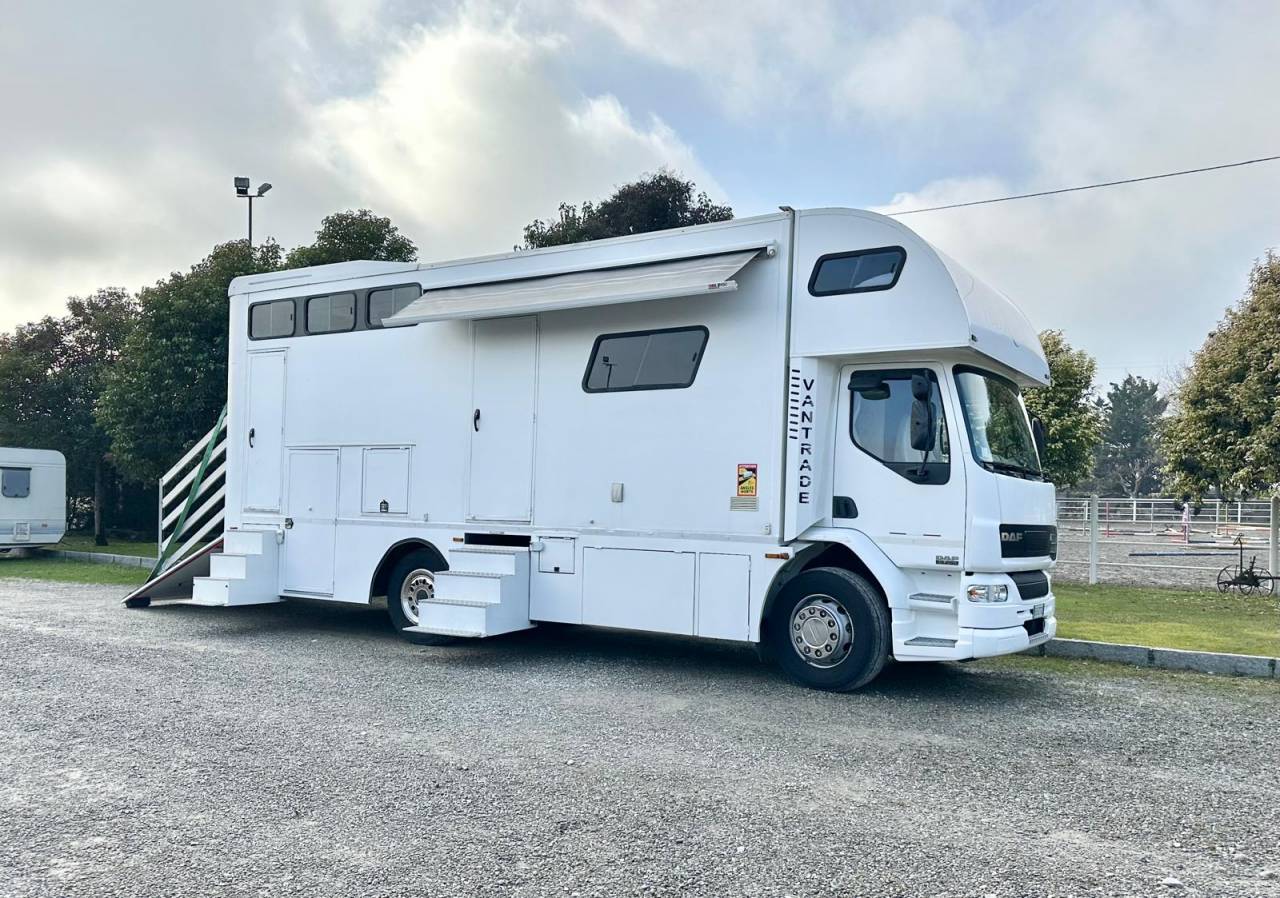 Horsebox NON-HGV Daf pop out  2003 Used