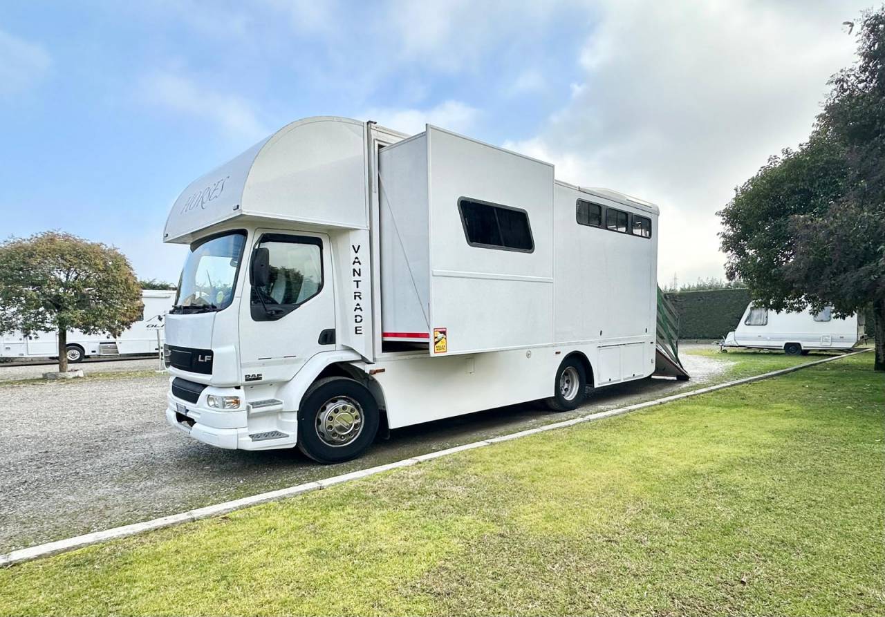 Horsebox NON-HGV Daf pop out  2003 Used