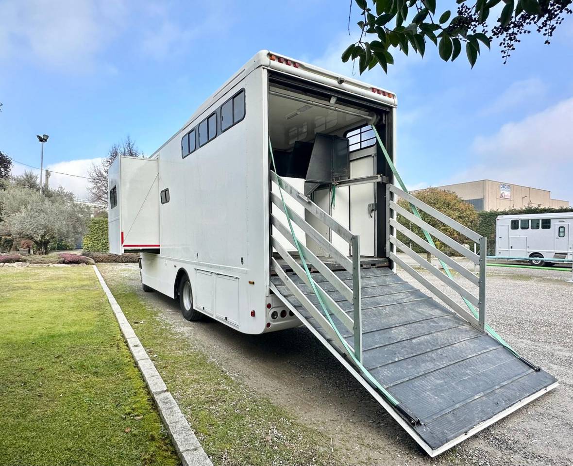 Horsebox NON-HGV Daf pop out  2003 Used