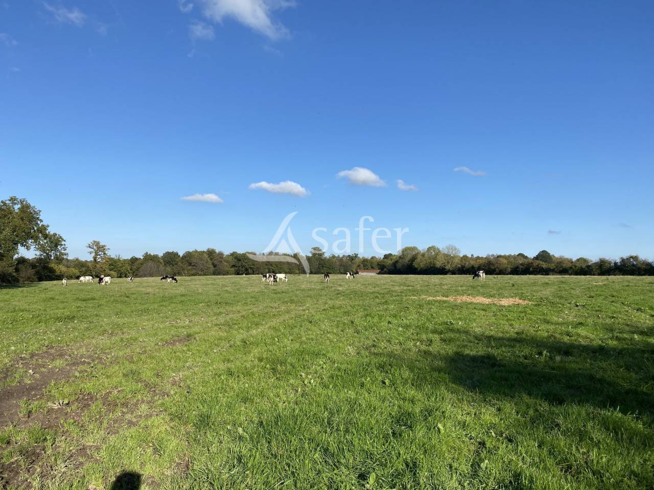 Other agricultural property  Calvados