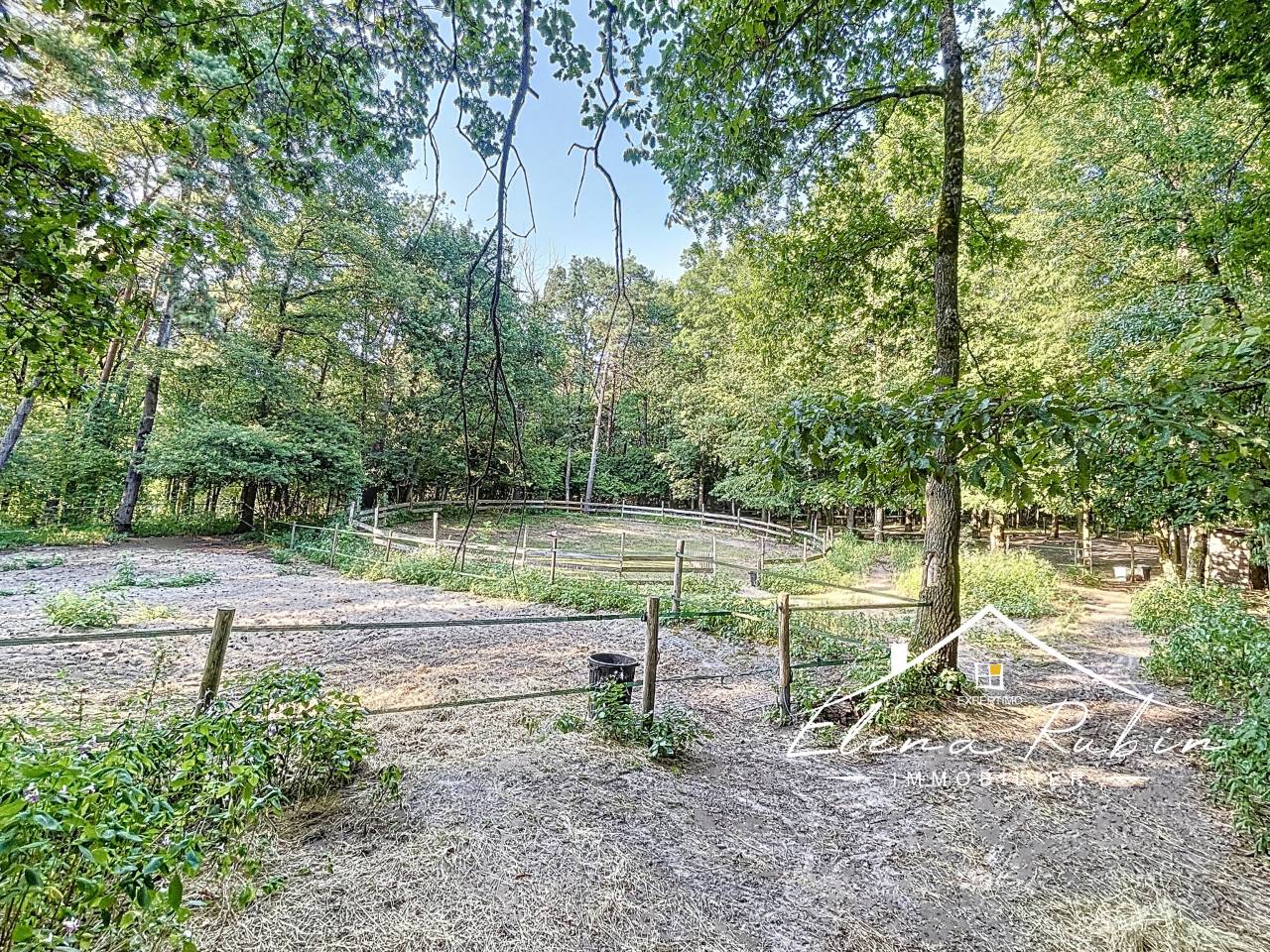 Luxurious equestrian property  Essonne