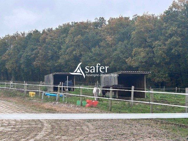 Equestrian property  Puy-de-Dôme