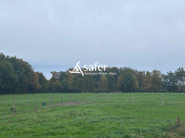 Equestrian property  Puy-de-Dôme