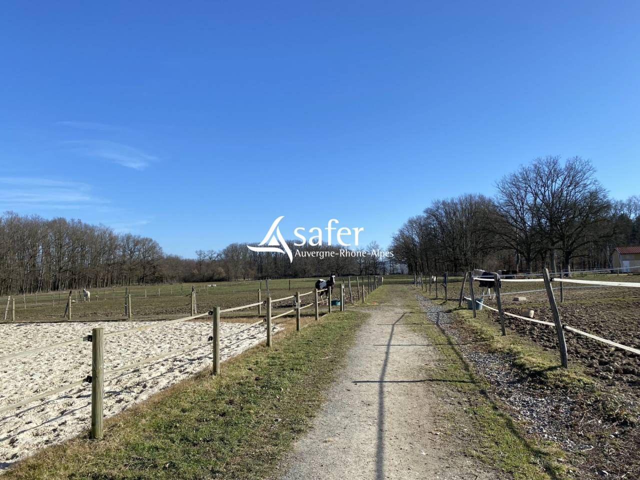 Equestrian property  Puy-de-Dôme