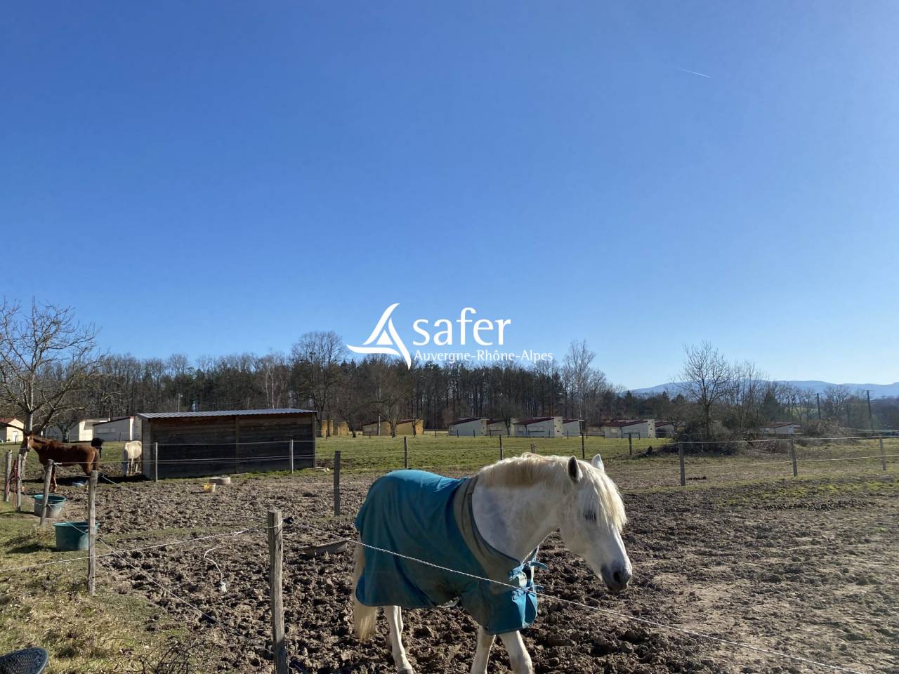 Equestrian property  Puy-de-Dôme