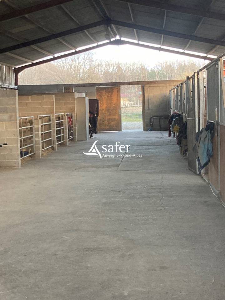 Equestrian property  Puy-de-Dôme