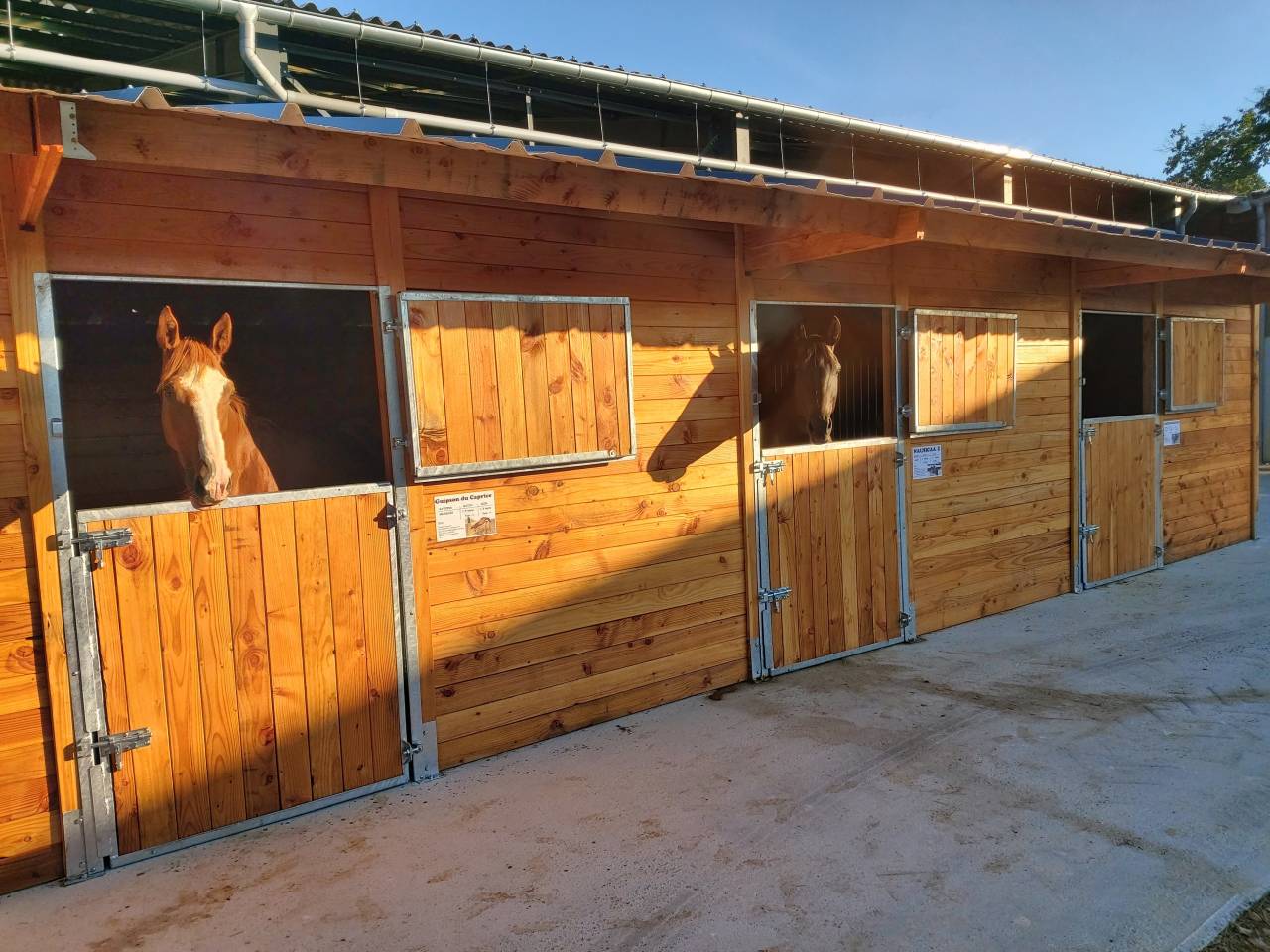 LCI-Cheval | Equestrian facilities > Horse stables