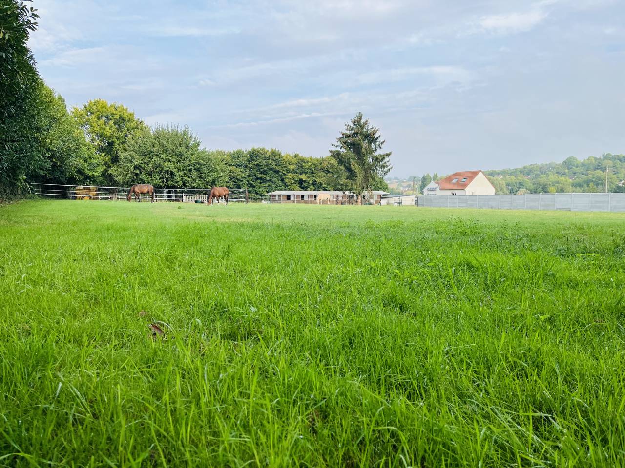 Equestrian property  Seine-et-Marne