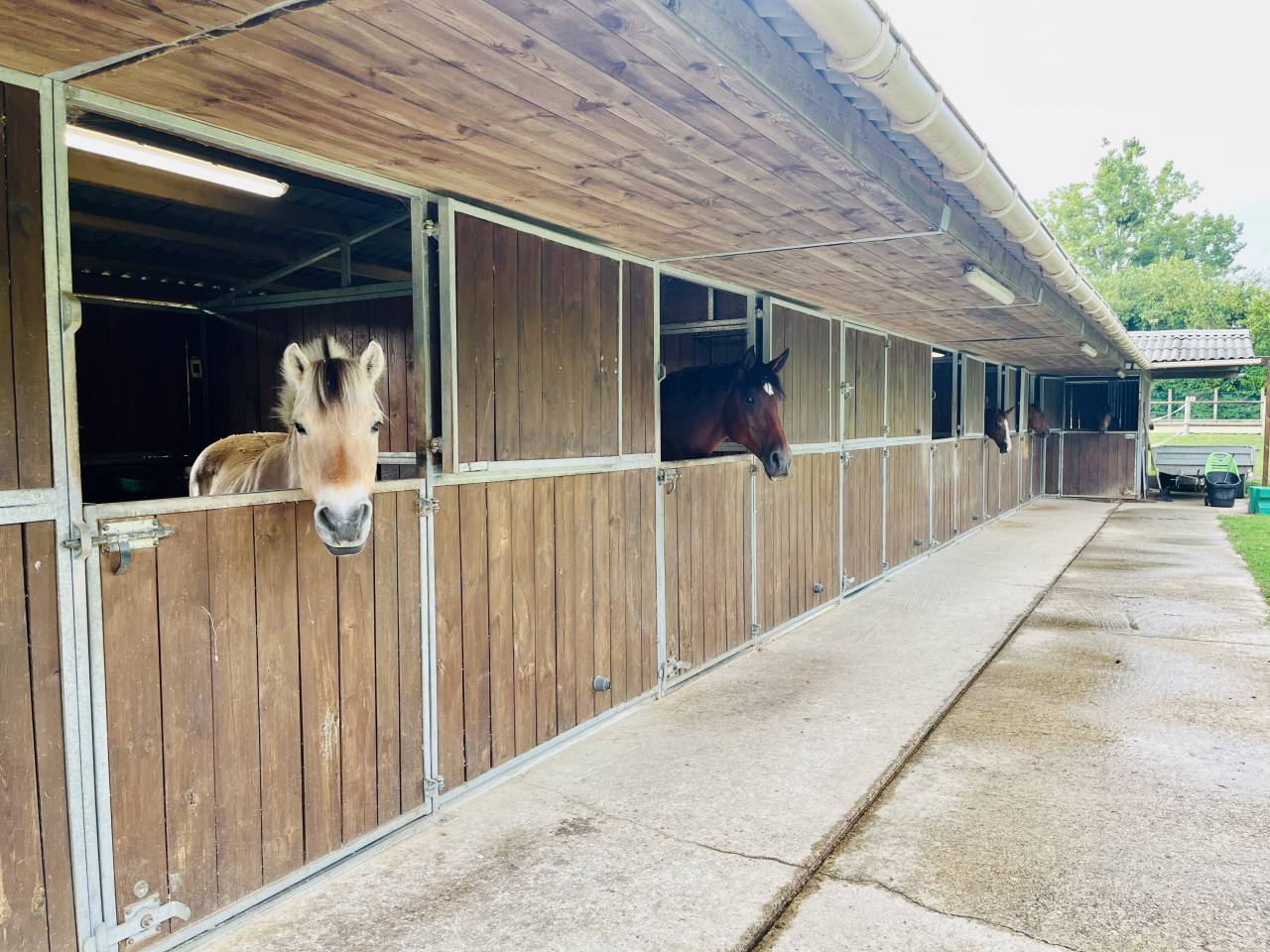 Equestrian property  Seine-et-Marne