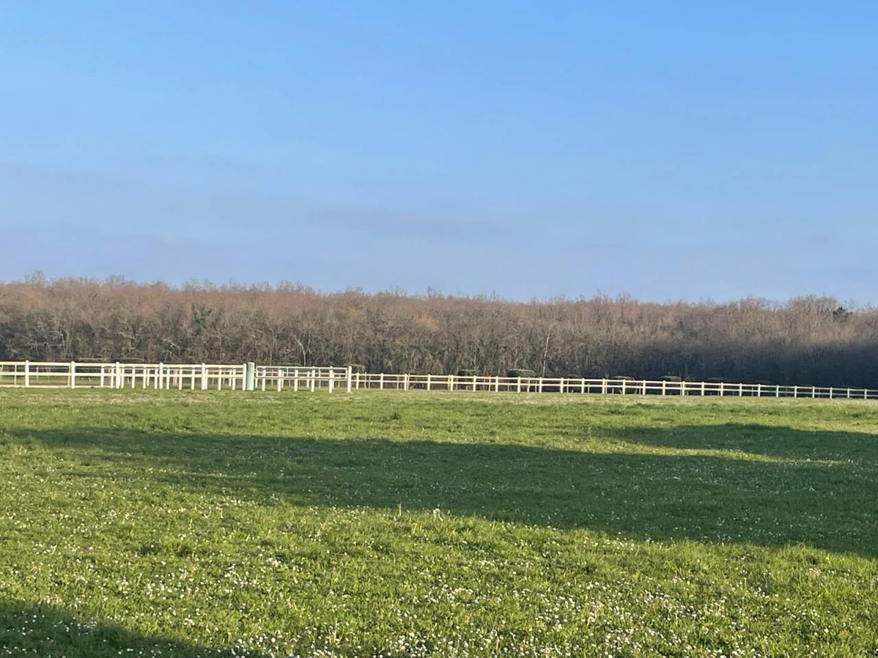 Equestrian property  Deux-Sèvres