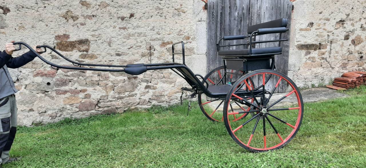 Carriage - Sulky - Other brand - Sulky Rancho  