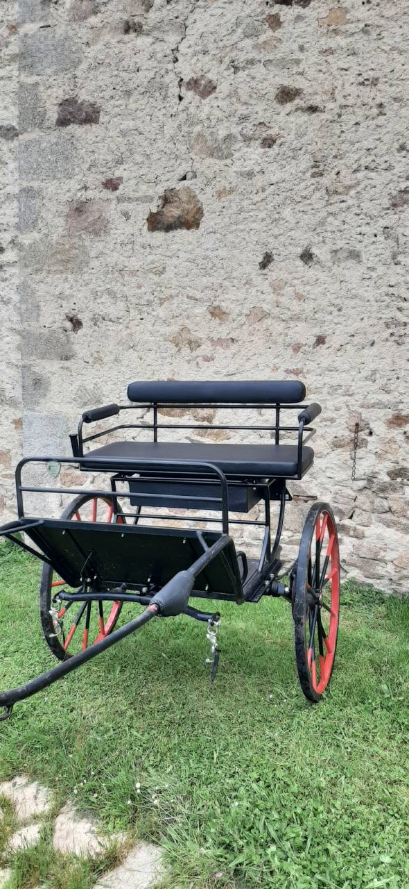 Carriage - Sulky - Other brand - Sulky Rancho  