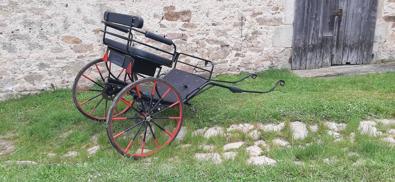 Carriage - Sulky - Other brand - Sulky Rancho  