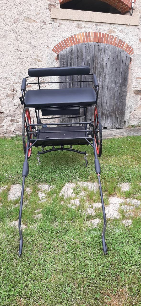 Carriage - Sulky - Other brand - Sulky Rancho  