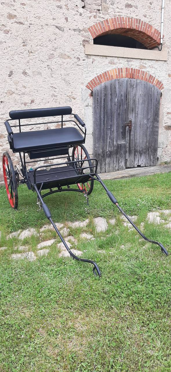 Carriage - Sulky - Other brand - Sulky Rancho  